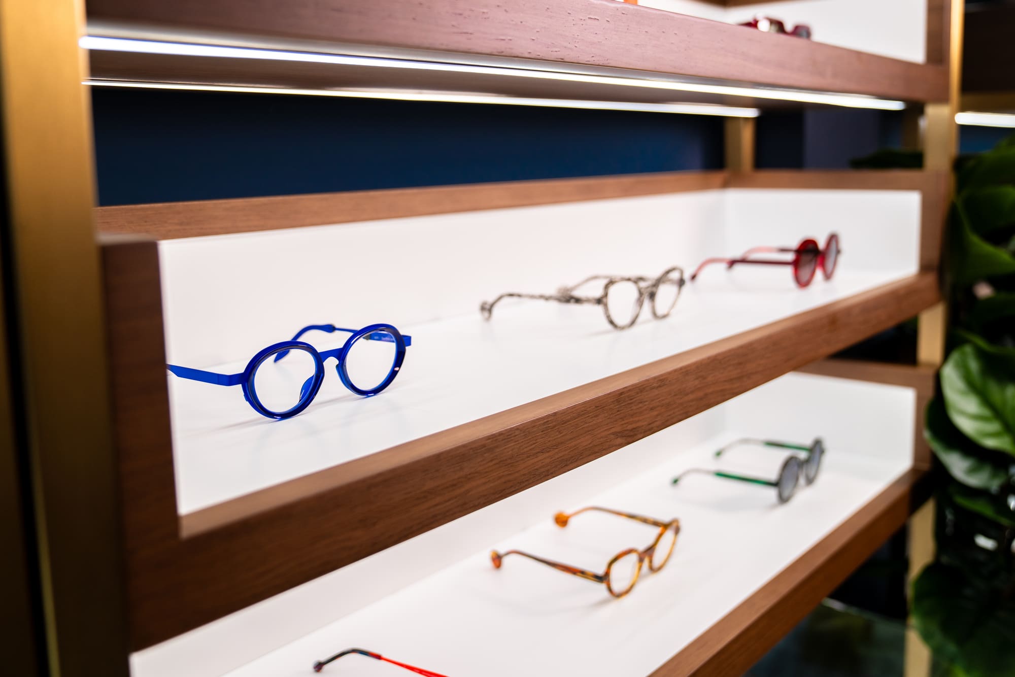 Colourful designer frames on illuminated shelves